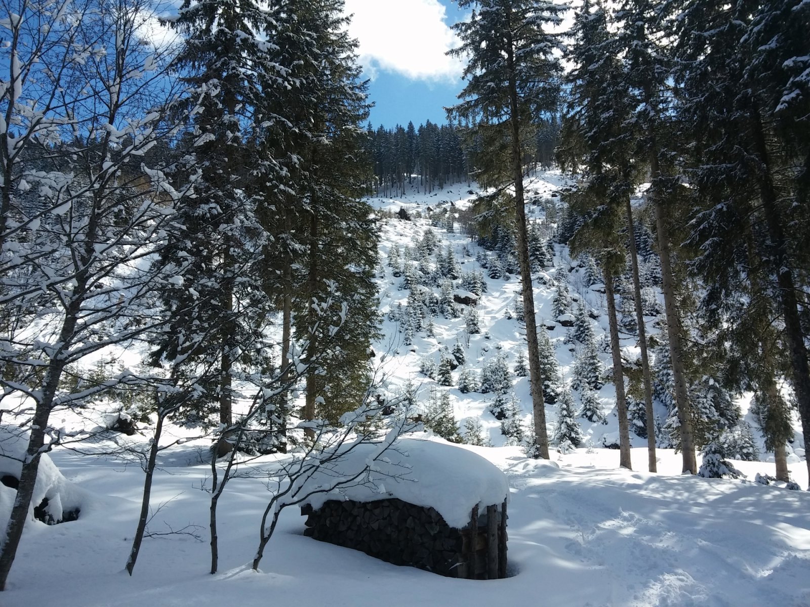 Azután következik egy hosszú tisztás, melynek ez már az alsó része. Ide érkezünk.