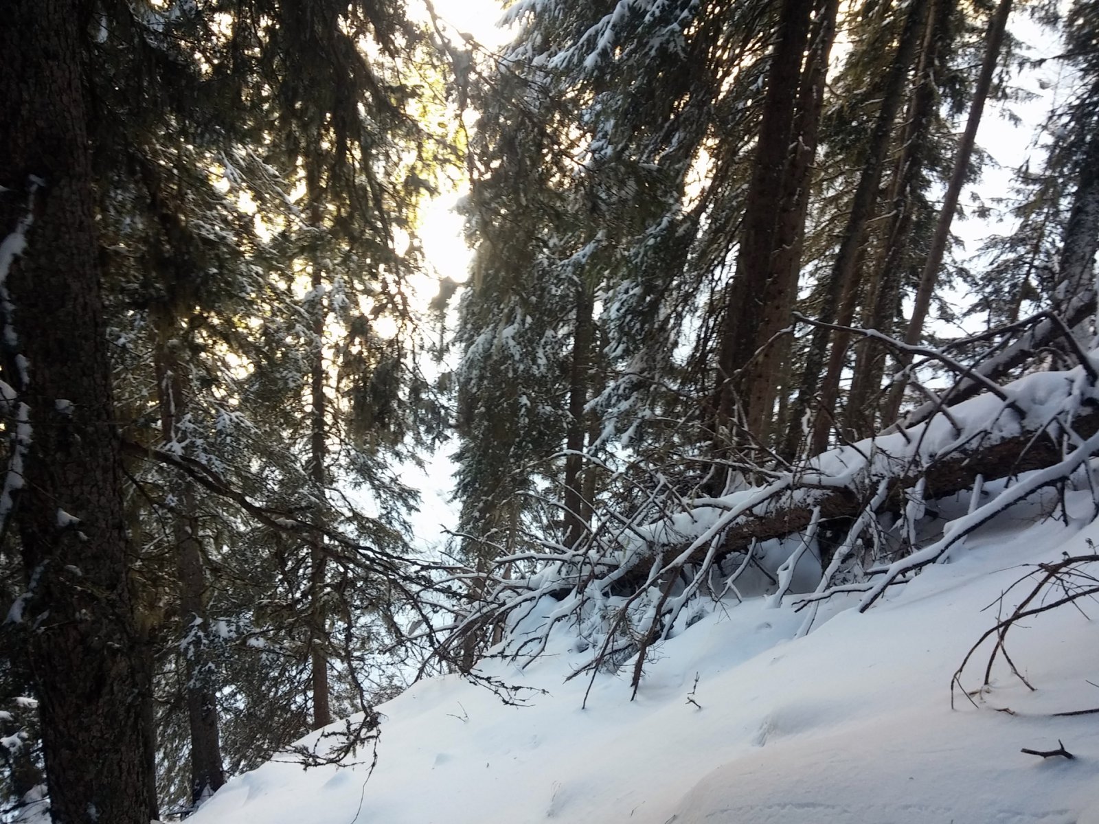 A komfortos freeride határait feszegetjük.