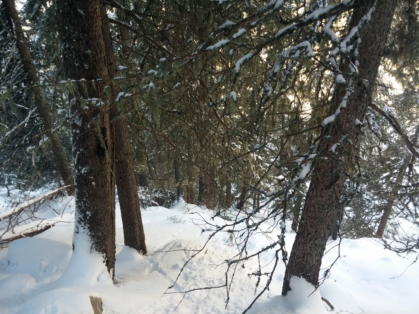 Sajnos ennek patakból kimászás lesz a vége.