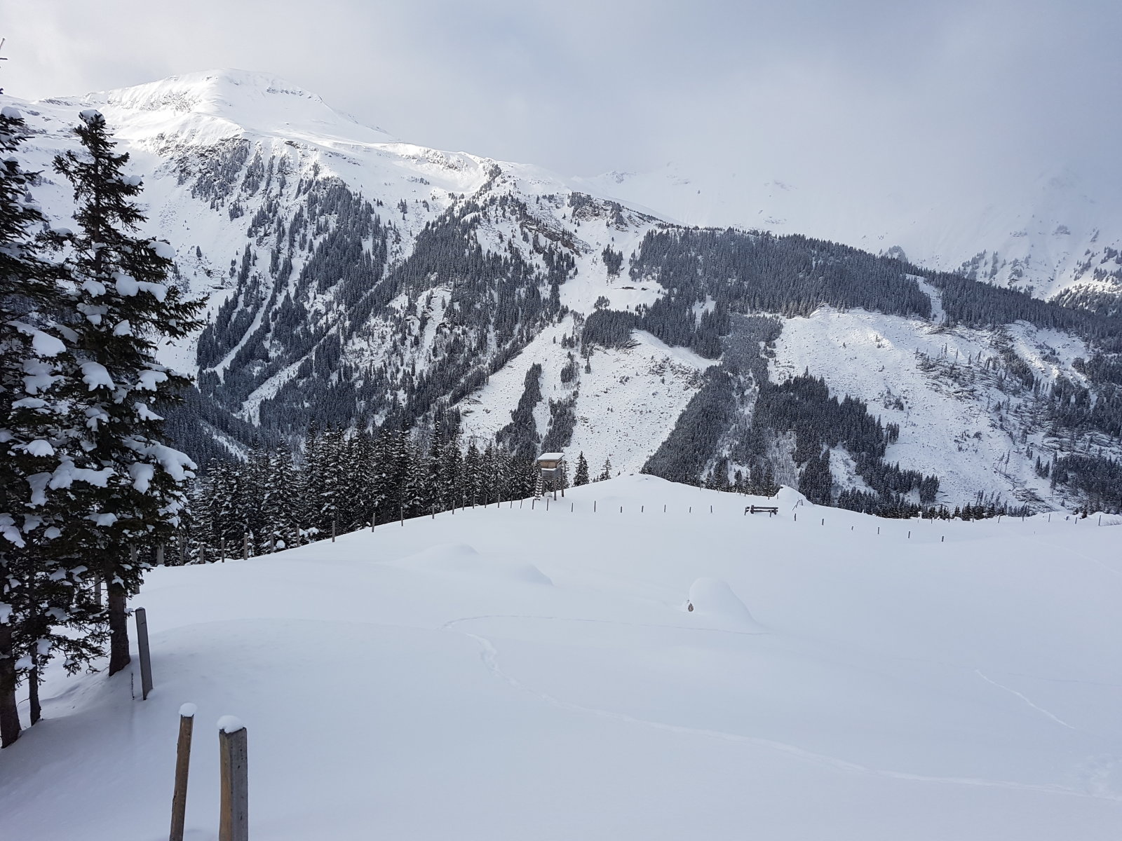 A távolabbi tisztás