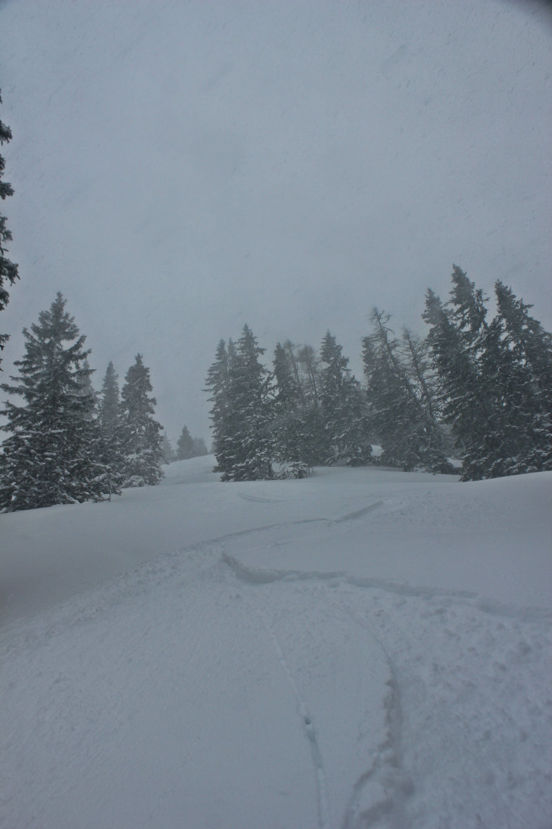 Ez a Hahnkopf csákányos melletti erdőség