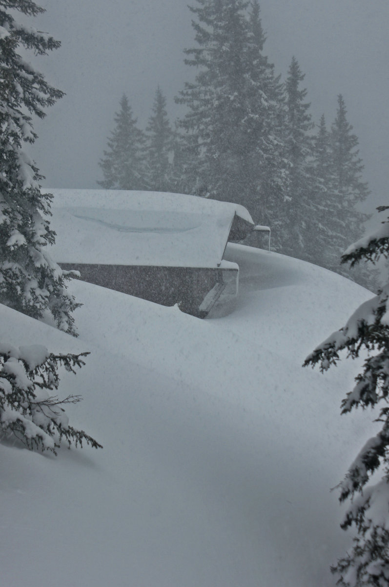 Erdészház a fenyvesben, ennél lejjebb ne menjünk