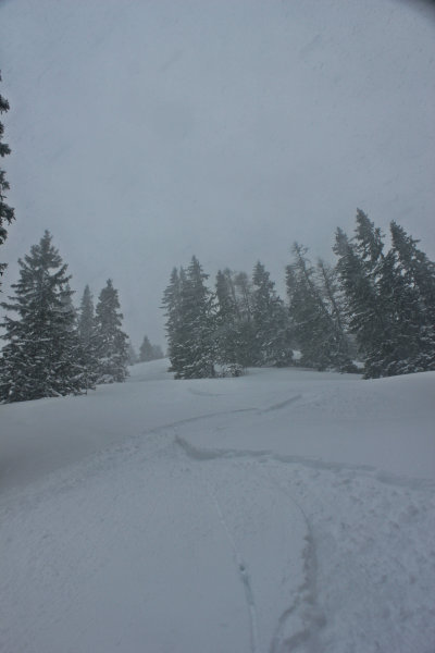 Ez a Hahnkopf csákányos melletti erdőség - Kattints a képre a nagyításhoz