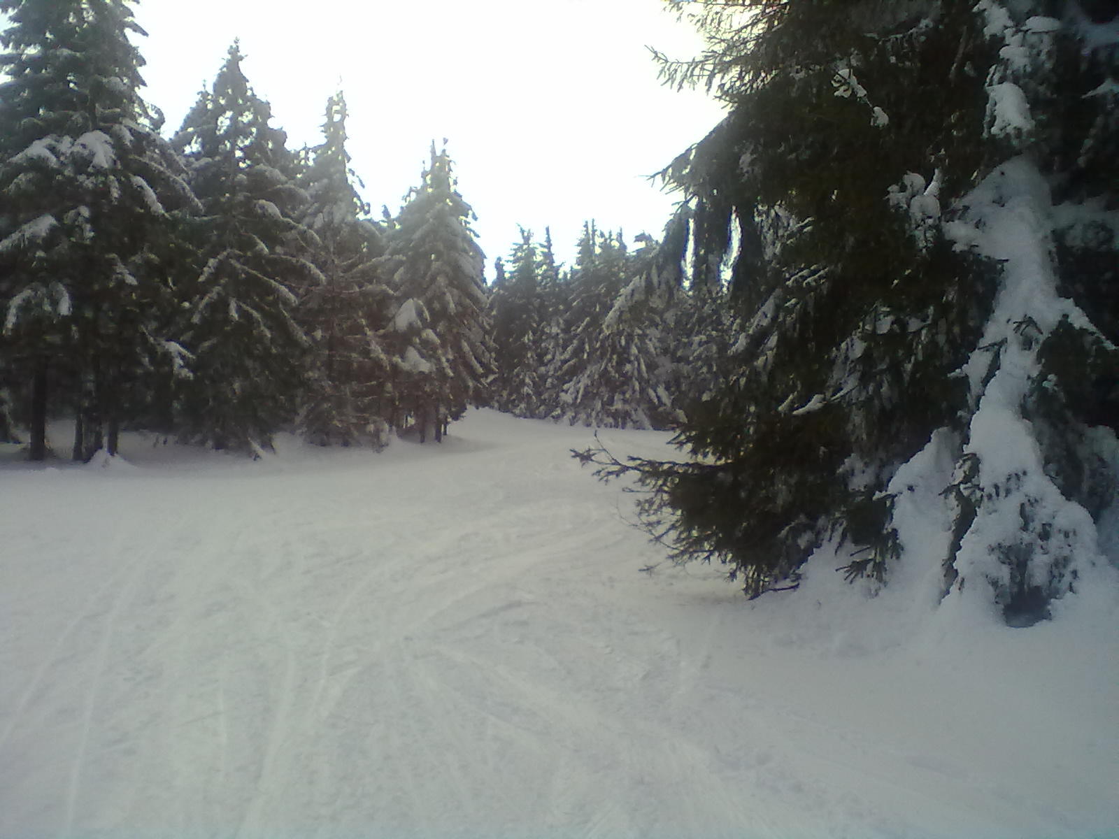 20130215112.jpg