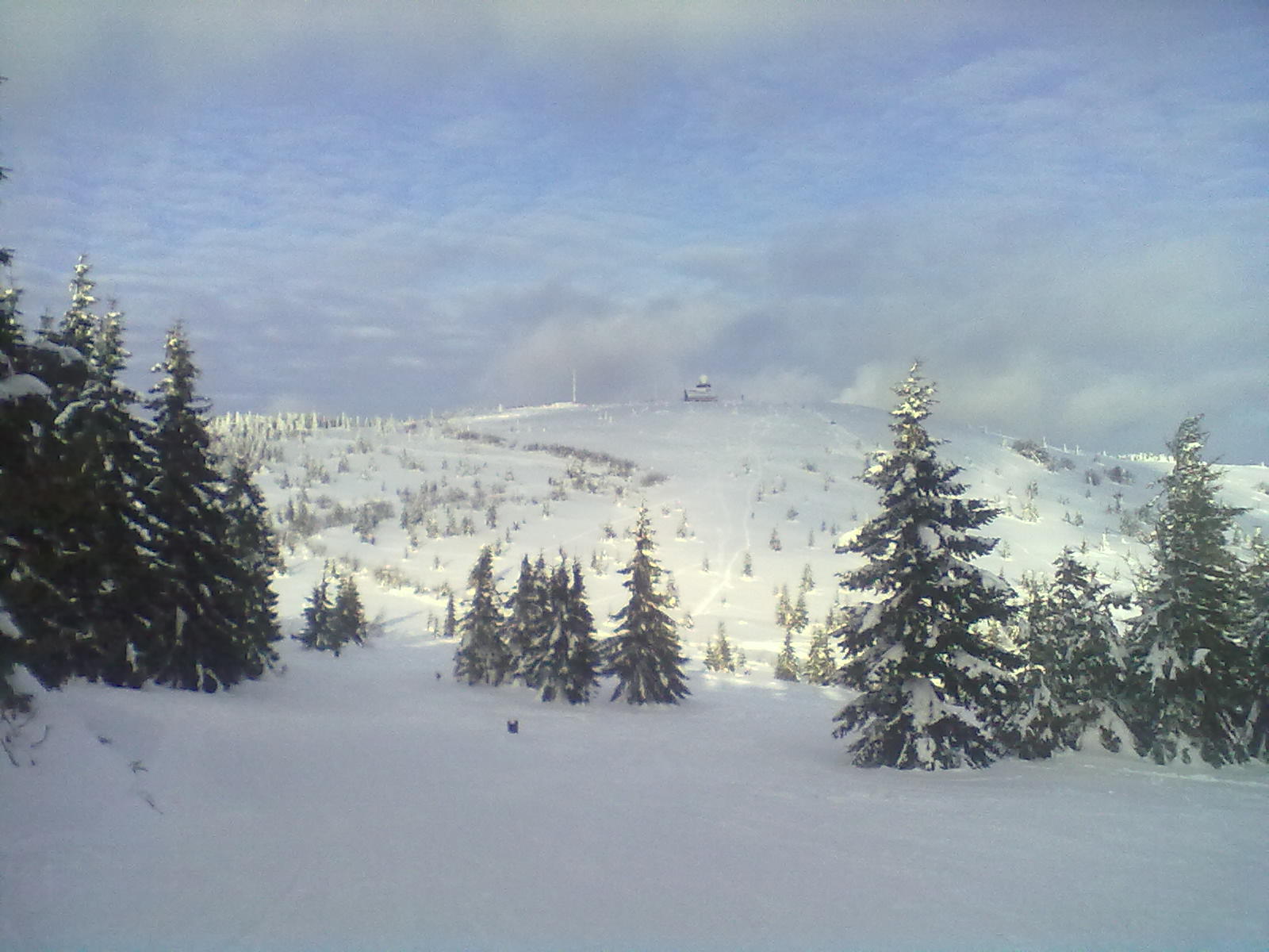 20130215115.jpg