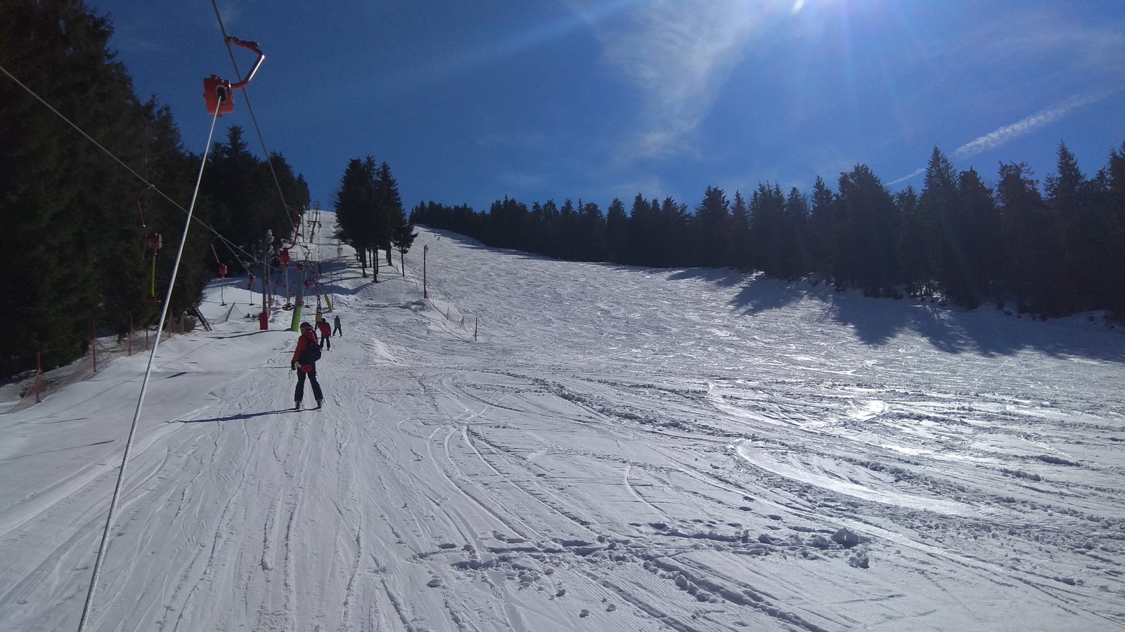 IMG-20190317-133545.jpg