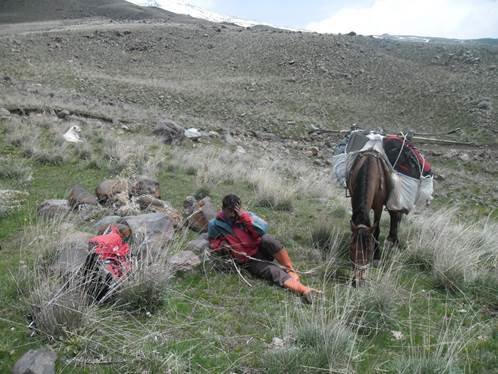 A  kurd harcos, Leila nevű lovával
