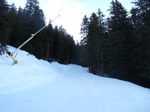 A 21C pálya erdei útja