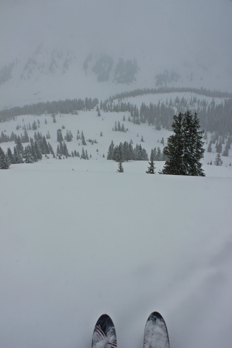 Hol ritkásabb fenyvesek....