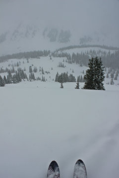 Hol ritkásabb fenyvesek....