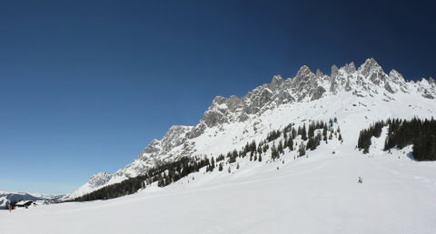 Panorama-4.JPG