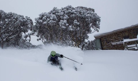 Friss hó Hothamen- Fotó: Mark Tsujasov