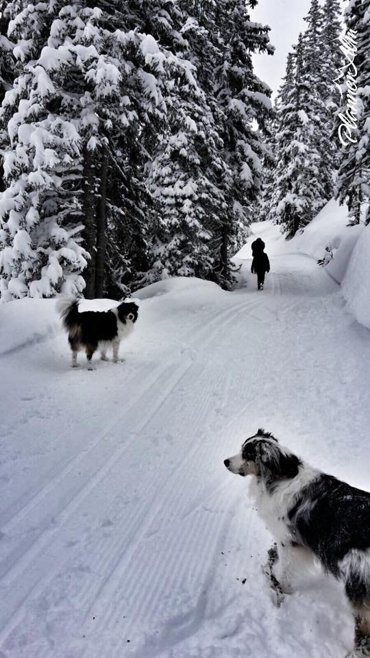 Planneralm - fotó: facebook