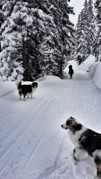 Planneralm - fotó: facebook