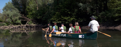 Donau-Auen Nemzeti Park