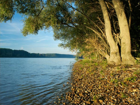 Donau-Auen Nemzeti Park