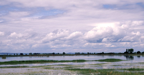 Fertő-tó - Seewinkel Nemzeti Park