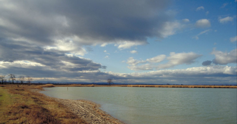Fertő-tó - Seewinkel Nemzeti Park