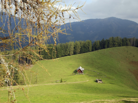 Gesäuse Nemzeti Park
