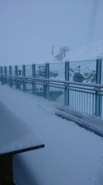 Tux - Fotó:facebook