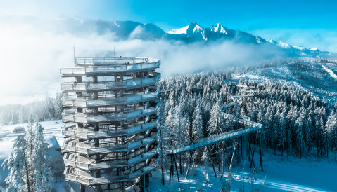 A Lombkorona Tanösvény télen is pazar látvány