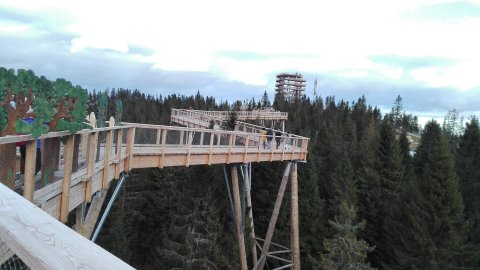 IMG-20171111-142545.jpg