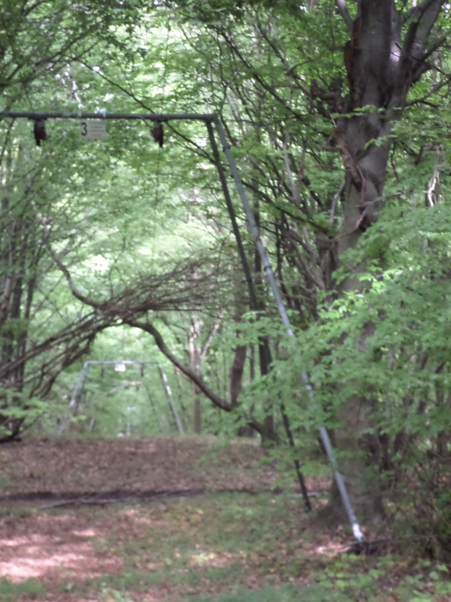 a természet visszahódítja a felvonó légterét