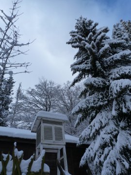 Bánkút, nem olvadt a hó