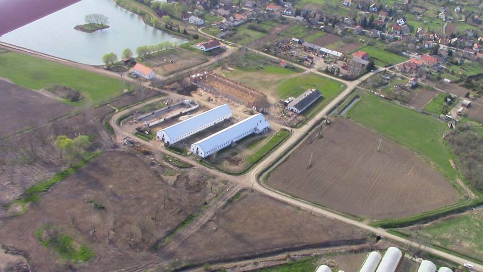 Épül a lovaglócsarnok a tó közelében