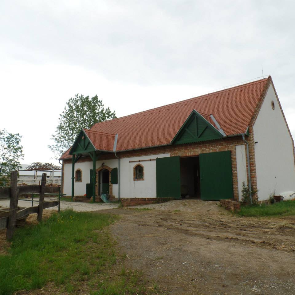 BEREK-Lovarda-3.jpg