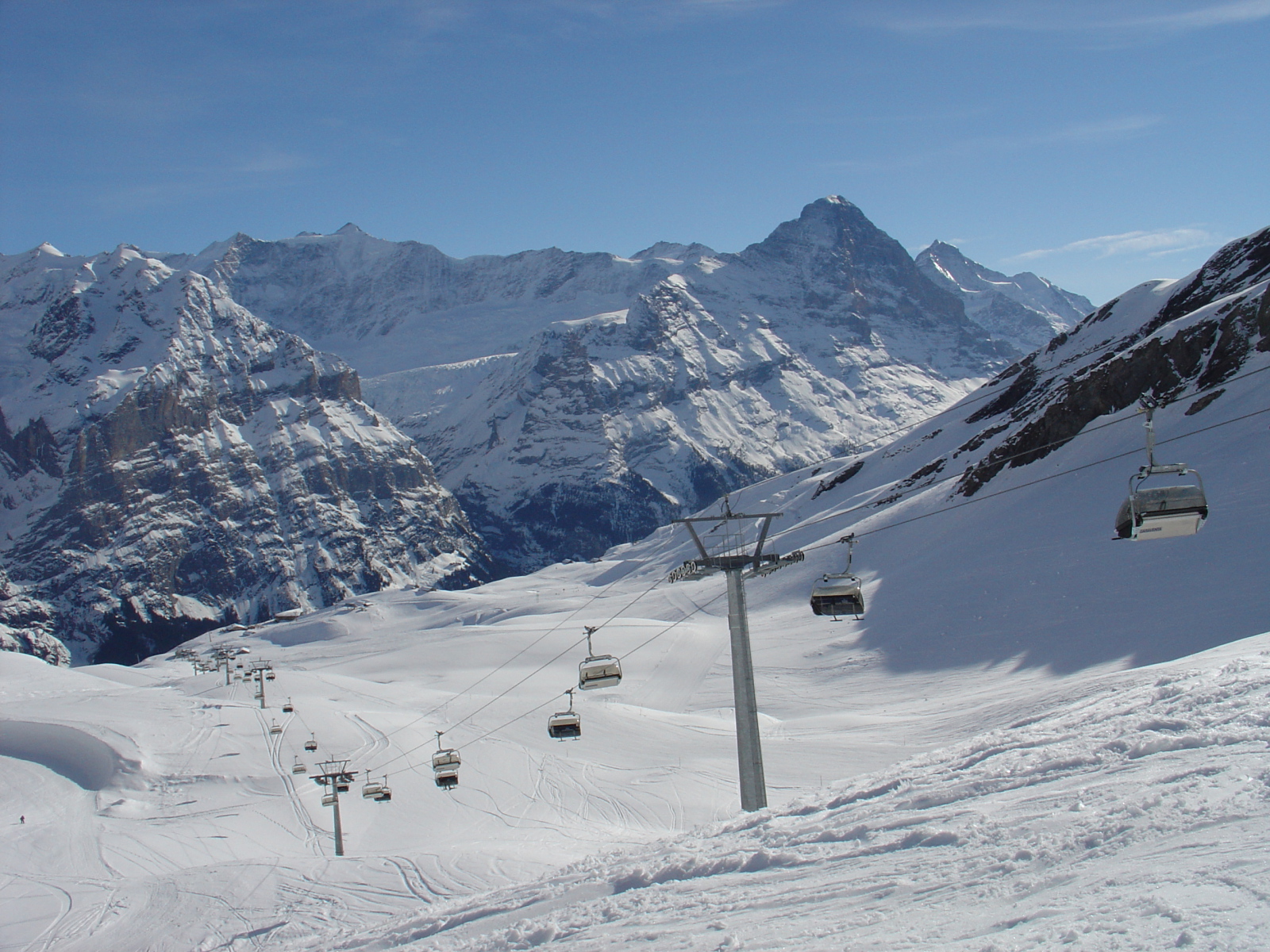 Grindelwald, Jungfrau régió
