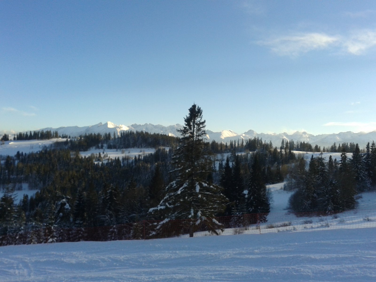 20150131-1454171.jpg