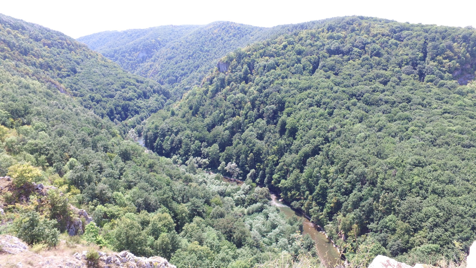 A Sebes-Kőrös, amely kettészeli a Királyerdőt