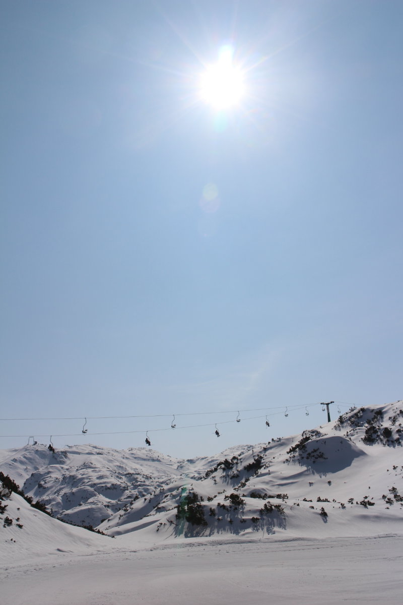 IMG-5317.JPG