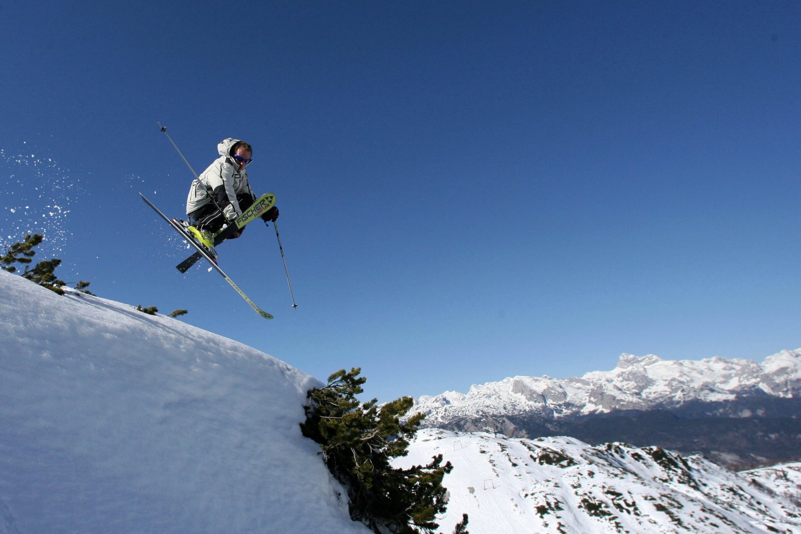 Vogel | Fotó: Ales Fevzer