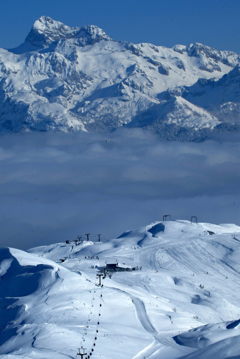 Vogel pályái | Fotó: Ales Fevzer