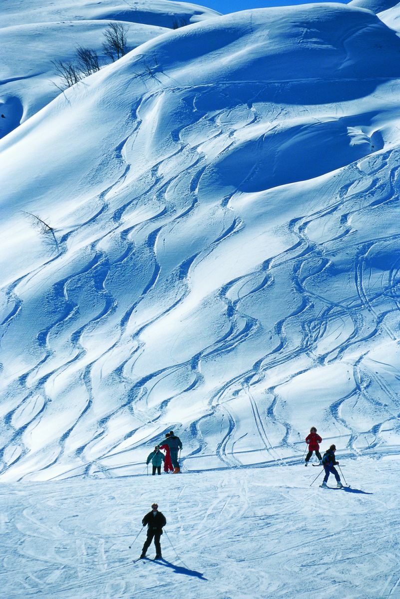 Vogel | Fotó: Ales Fevzer