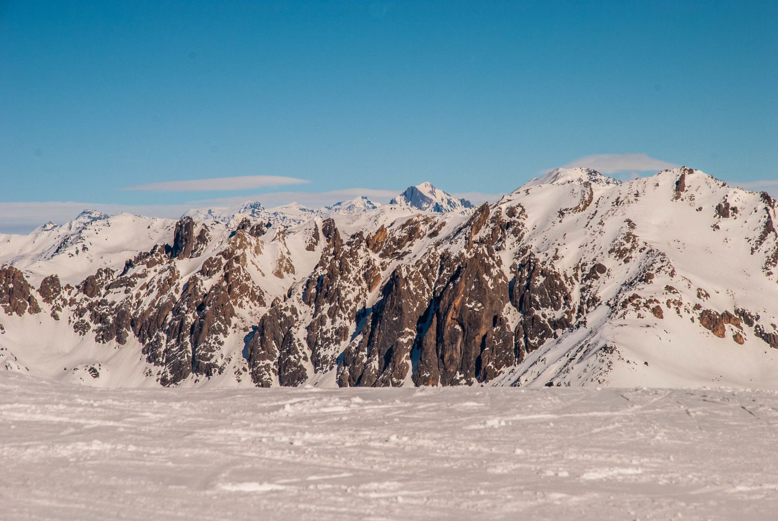 sieles-86-of-115.jpg