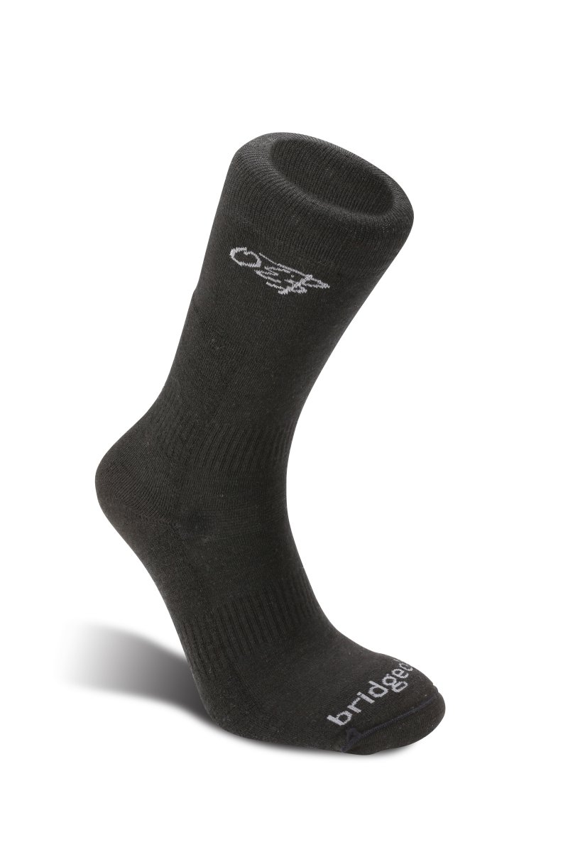 Bridgedale cross country bjorndalen