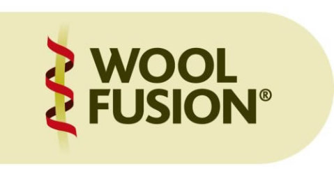 800-bridgedale-woolfusion.jpg