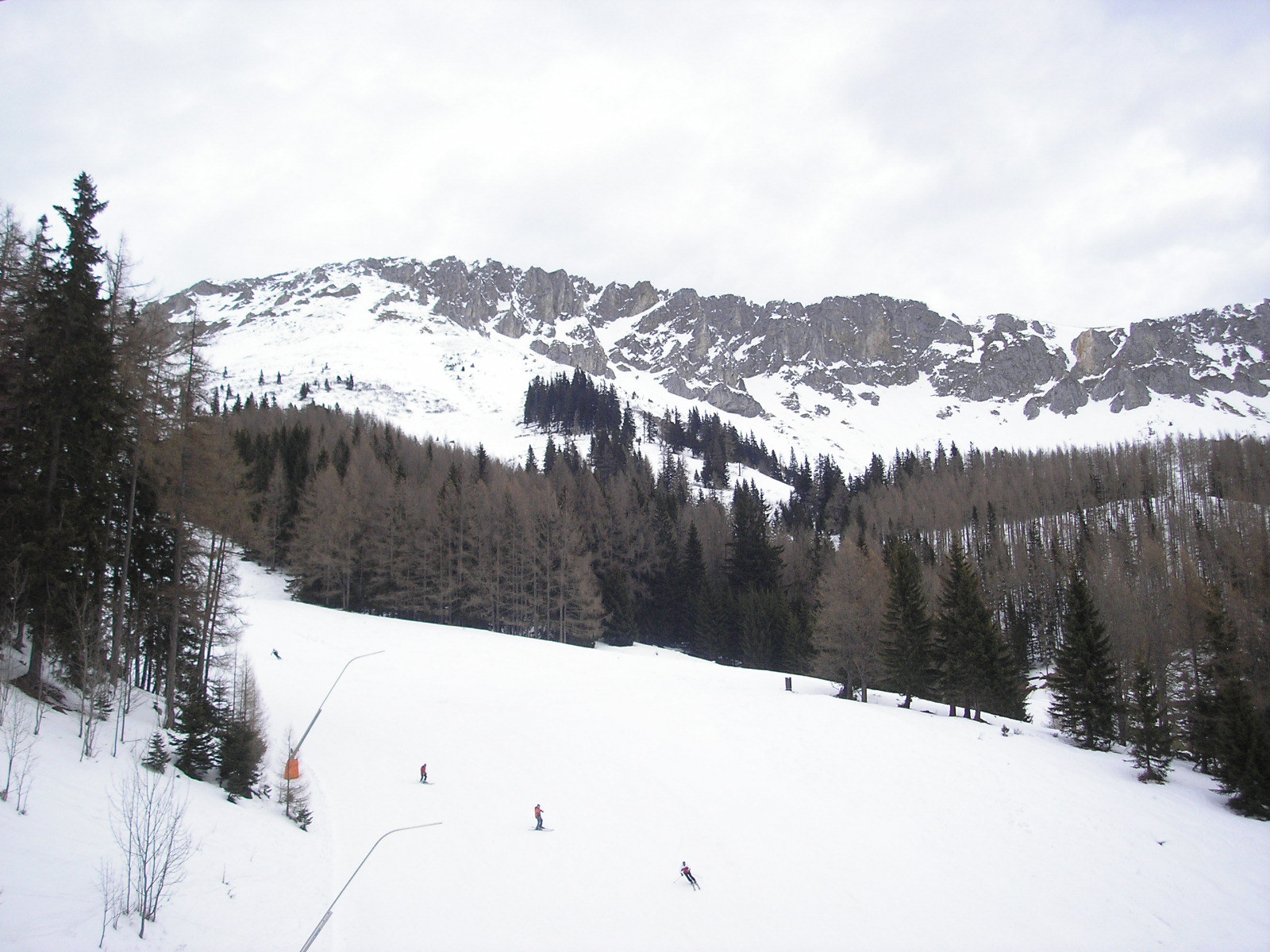 2010-02-28-008.jpg