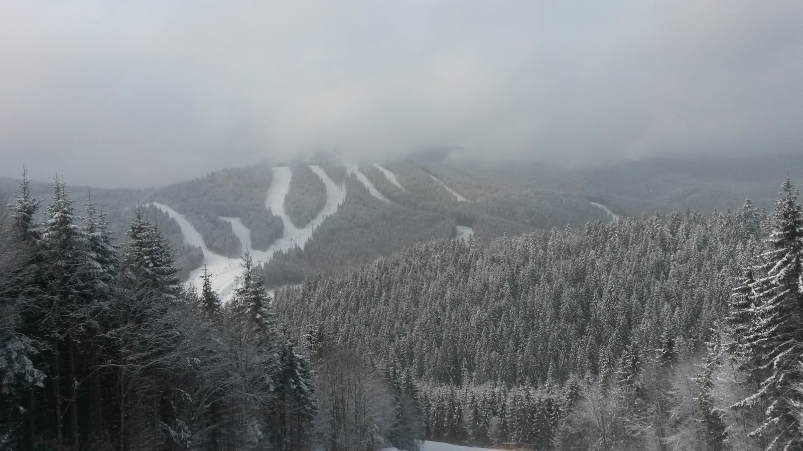 20150314-104926.jpg