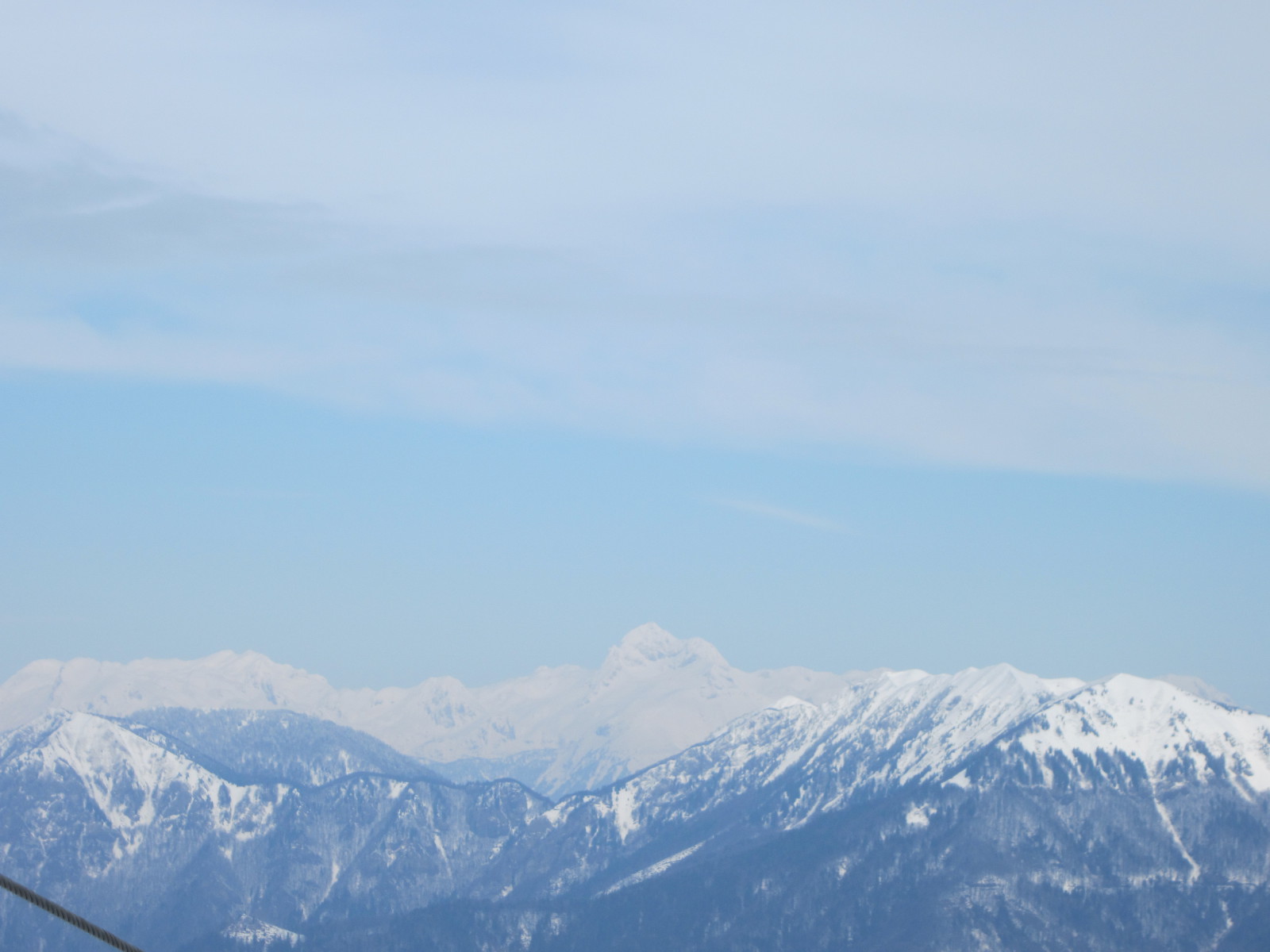 IMG-0430.JPG