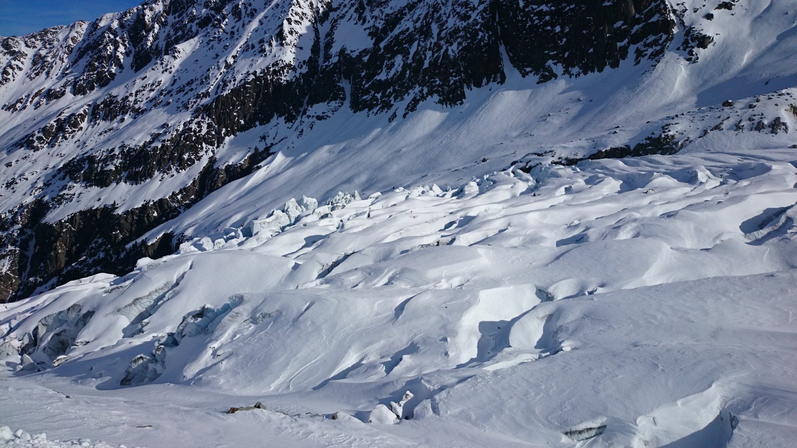 DSC-0012.JPG
