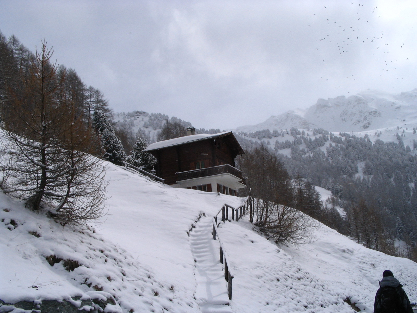 IMG_4606.JPG