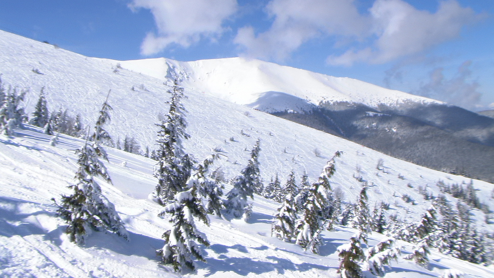 pazar, de időben vissza kell indulni, masképp jöhet a gyalogtúra.