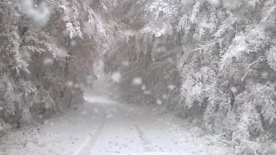 Velebit - fotó: Észak Velebiti Nemzeti Park