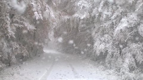 Velebit - fotó: Észak Velebiti Nemzeti Park
