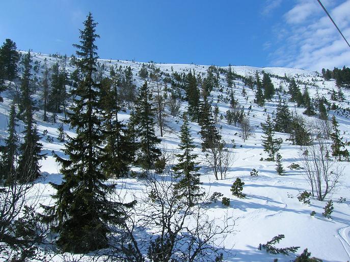 freeride.JPG