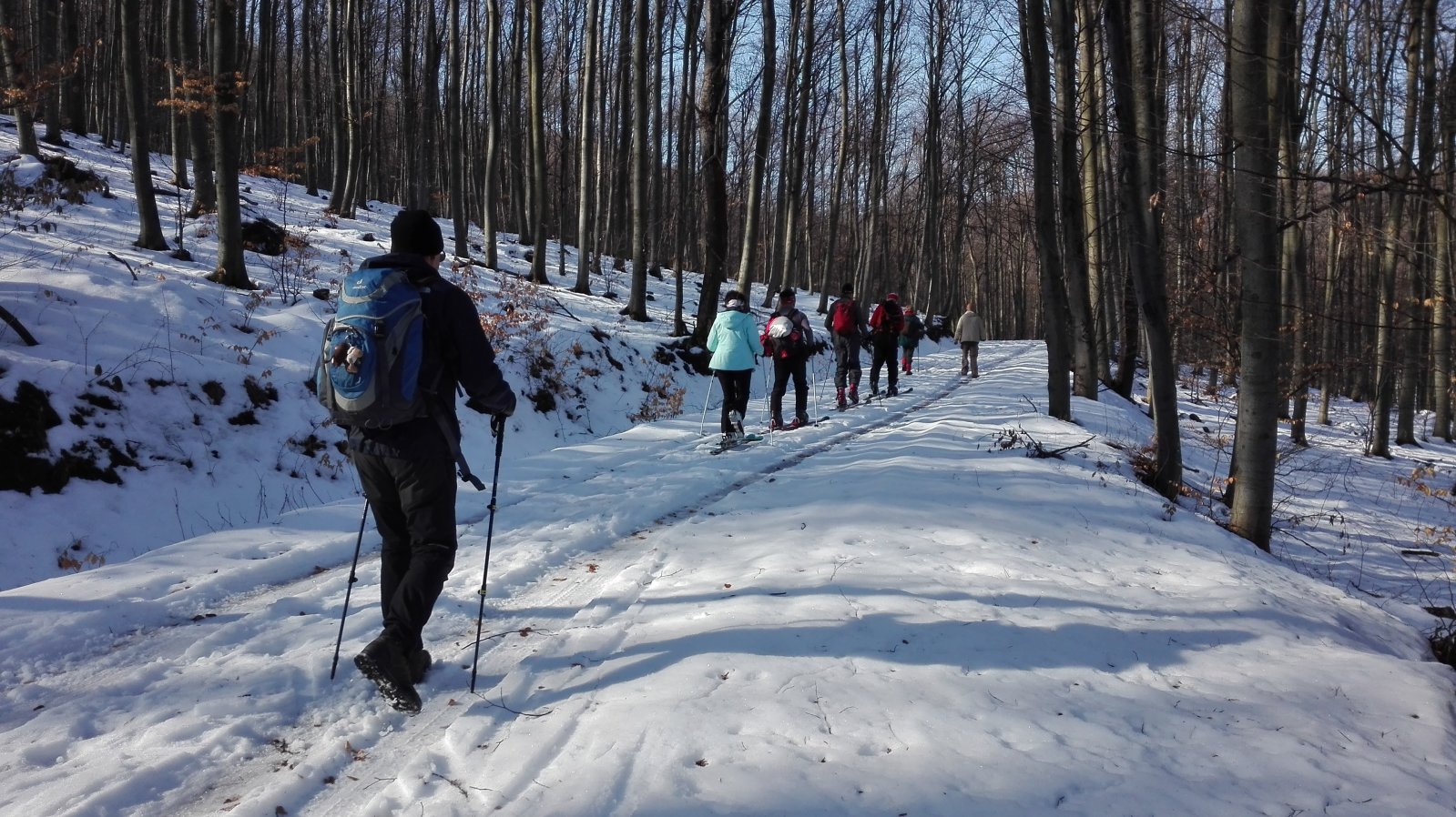 Fókával sítúrázunk felfelé